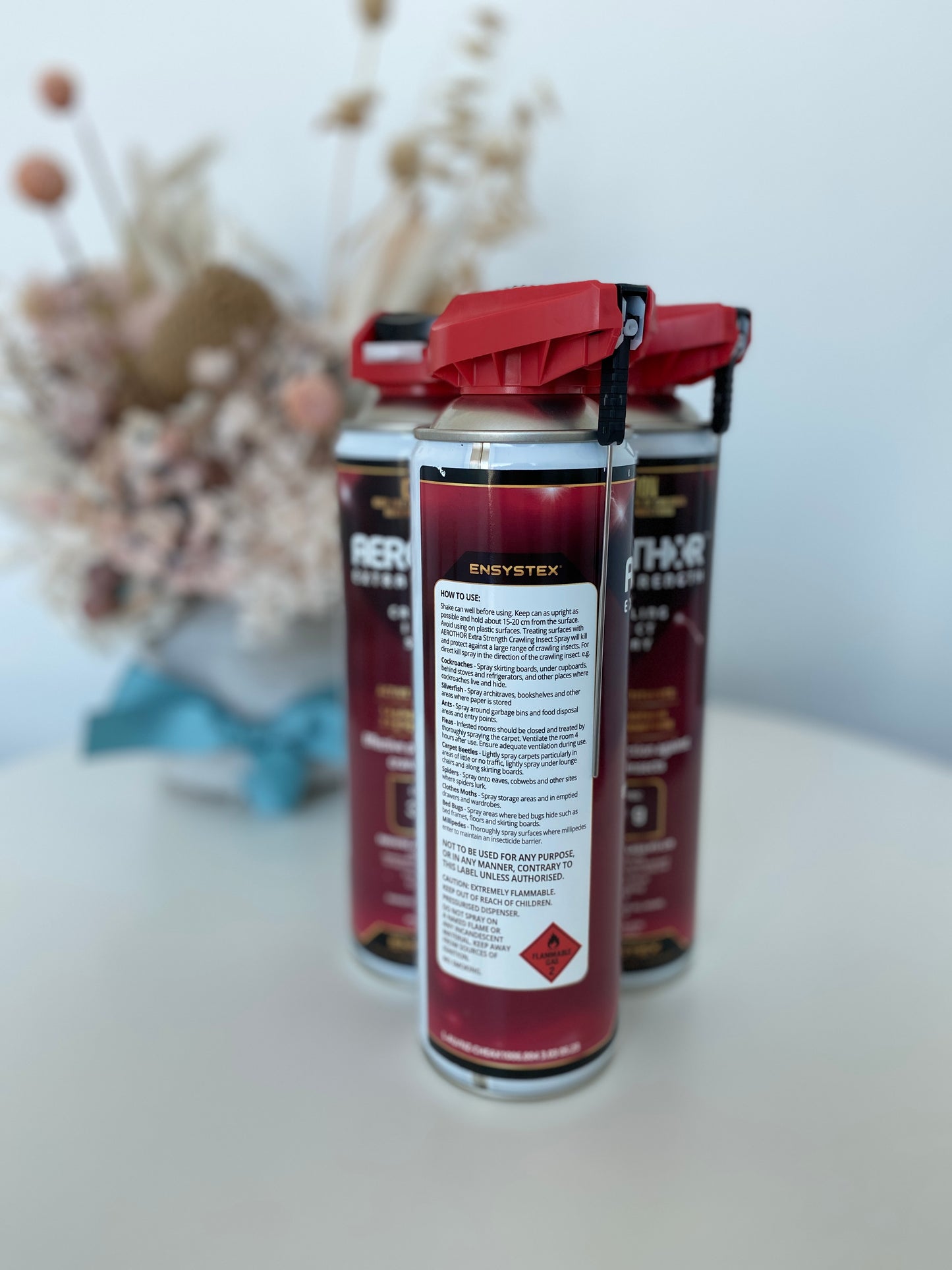 Aerothor Extra Strength Crawling Insect Spray Aerosol