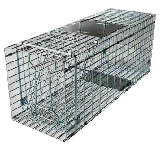 possum cage possum catcher